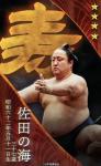 大相撲コレクション 　誕生日力士パック 5月 ★４ 佐田の海