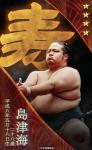 大相撲コレクション 　誕生日力士パック 5月 ★４ 島津海